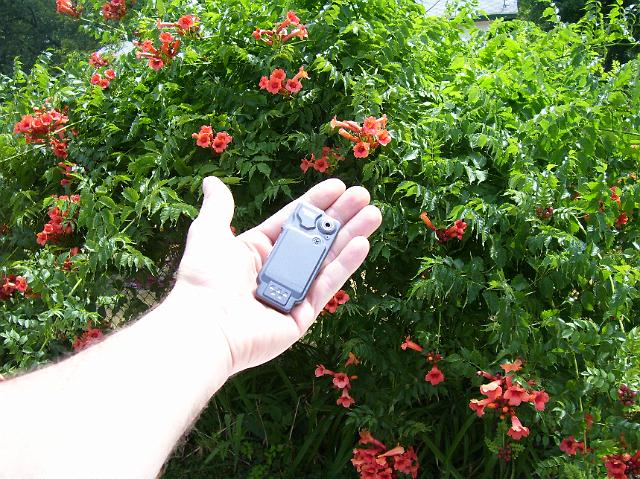 dvc300 012.jpg